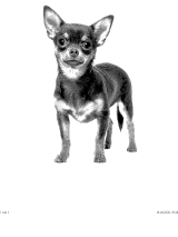 Empfangenes Fax vom 2026-04-18 03:29