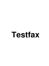Empfangenes Fax vom 2026-10-31 13:39